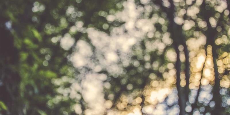 从入门到精通：舞蹈培训进阶必备指南与专业用品解析