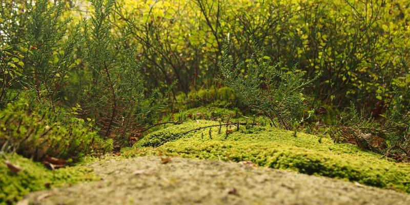 从街舞到芭蕾：三大舞蹈培训案例揭示成功关键与服装选择之道