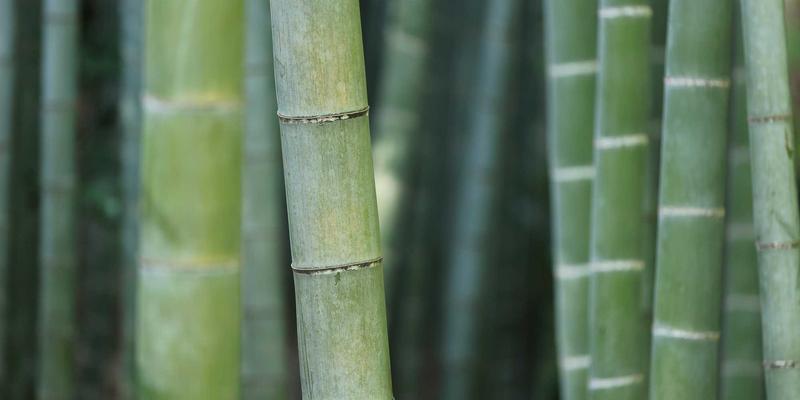 儿童舞蹈启蒙课程如何选择：3-6岁幼儿芭蕾与创意舞动的关键考量与舞蹈用品指南