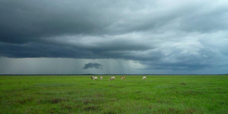 居家舞蹈基本功训练指南：安全提升柔韧性与核心力量 | 现代舞爱好者必备