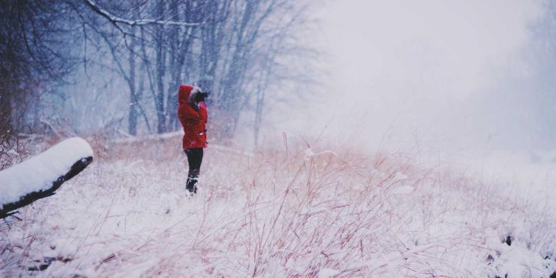 现代舞与芭蕾舞培训指南：如何选择与高效利用舞蹈课程