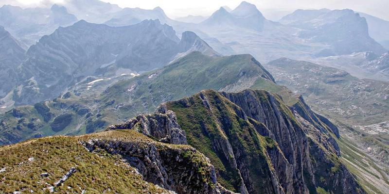 科学规划舞蹈训练：如何为不同年龄段学员定制计划与强度（附现代舞与舞鞋指南）