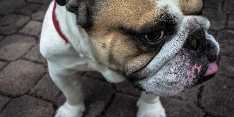 舞出独特：舞蹈工作室如何通过课程、社群与品牌打造差异化优势 | 聚焦现代舞与专业舞鞋