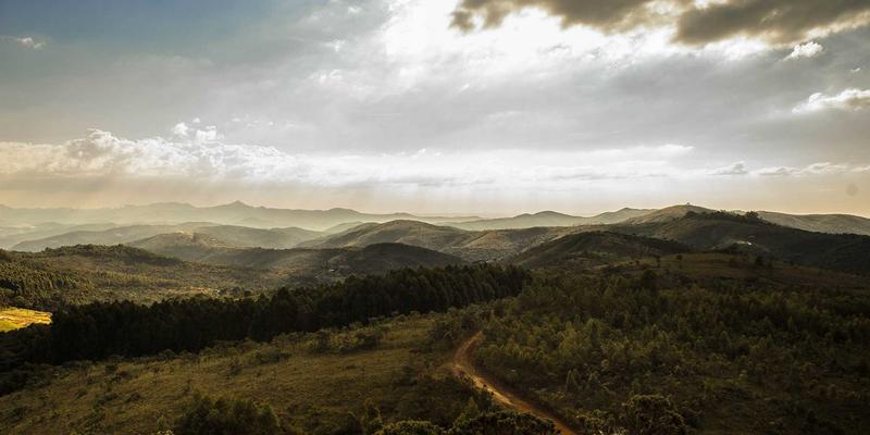 舞者能量密码：街舞与现代舞者的科学膳食搭配与赛前赛后饮食指南