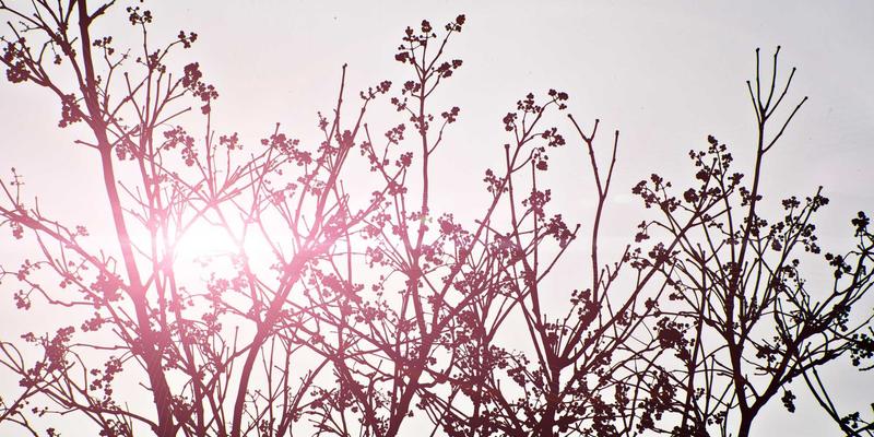 舞蹈商城线上课程测评：现代舞与芭蕾舞，直播课与录播课如何选？