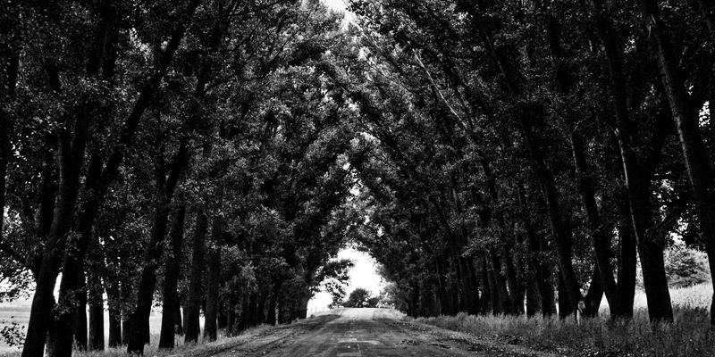 舞蹈培训30问：从街舞入门到专业提升的完整指南