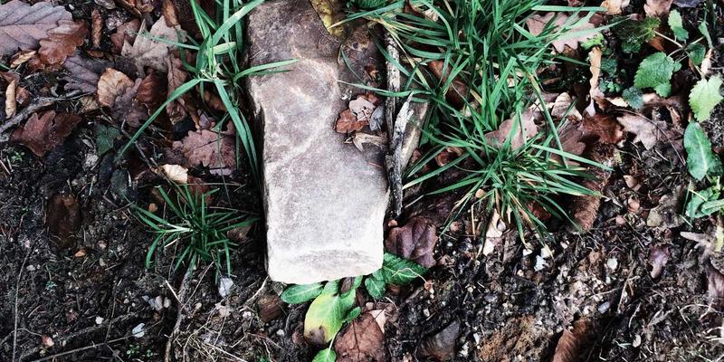 舞蹈培训全攻略：从芭蕾舞课程到专业舞蹈服装的完美选择