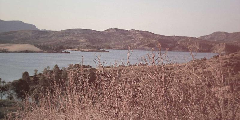 舞蹈培训的艺术与细节：从舞蹈服装选择到芭蕾舞专业训练