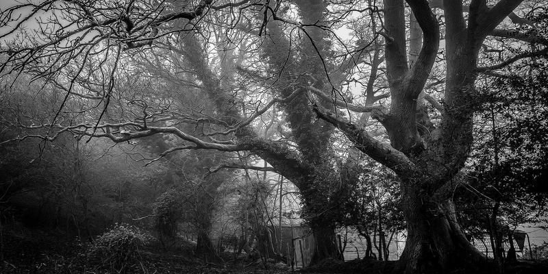 舞蹈摄影与舞台灯光基础：从街舞到专业舞台的视觉艺术提升指南