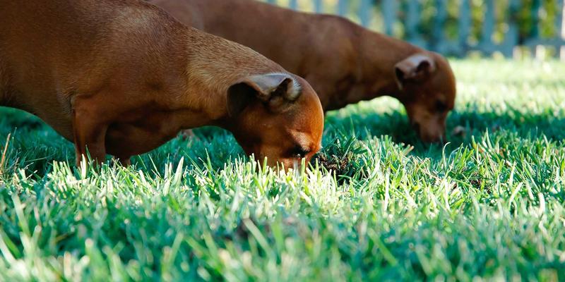 舞蹈教师资格证怎么考取？报考条件与专业装备指南