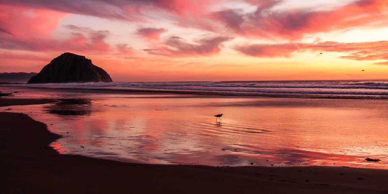 舞鞋下的梦想：现代舞与街舞艺考生集训全攻略