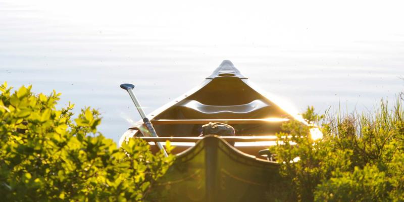 舞鞋与舞蹈课程如何选？揭秘舞蹈培训收费标准与性价比攻略