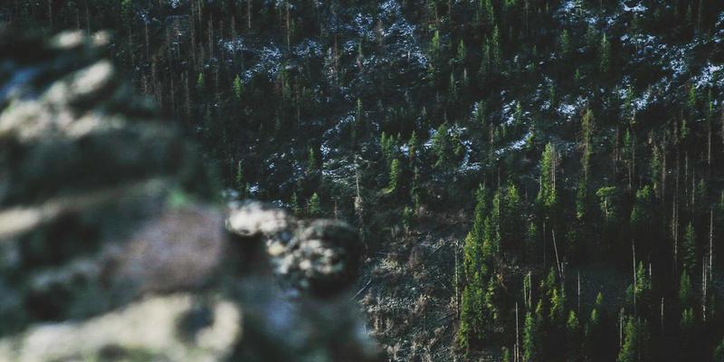 舞鞋选购指南：从舞蹈培训到舞蹈商城的专业之选