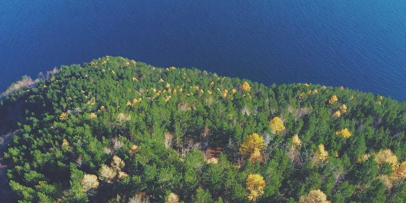 芭蕾舞与现代舞培训全解析：从艺术内核到舞蹈服装的深度对比