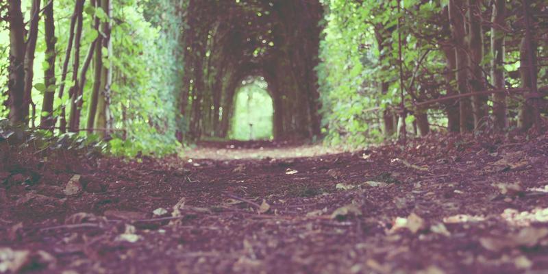 芭蕾舞与现代舞培训指南:选择适合你的舞蹈成长之路