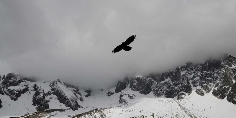 芭蕾舞培训全解析：从零基础到舞台绽放，舞蹈服装与专业指导的完美结合